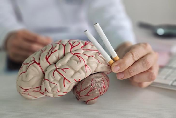 Brain model near cigarette